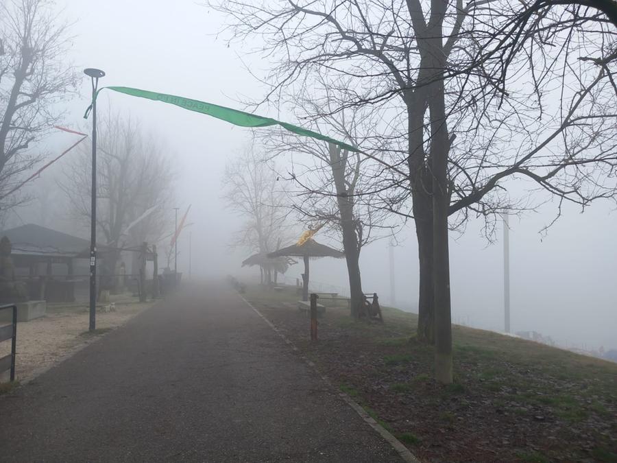 Nebbia in pianura fino ai primi giorni di febbraio, in collina sole e temperature oltre la media