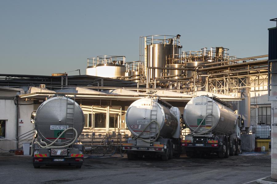
	Gli impianti di Latte Maremma in via Scansanese (foto Agenzia Bf)

