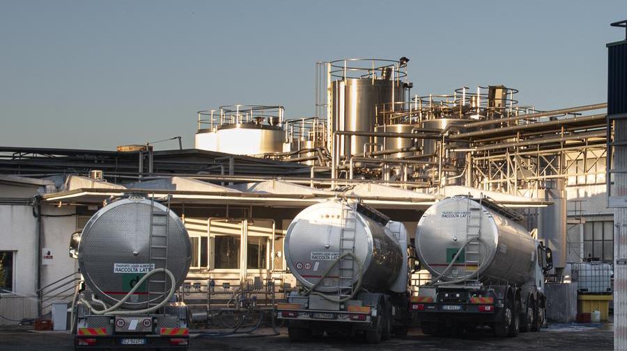 Gli impianti di Latte Maremma in via Scansanese (foto Agenzia Bf)