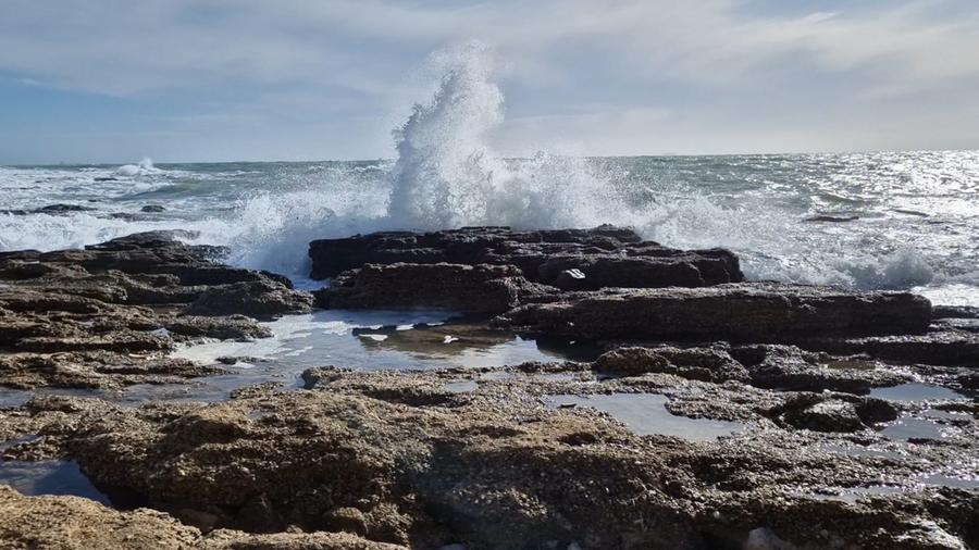 Livorno e la potenza del suo mare: grazie a Lorenzo Repetto. E buon lunedì