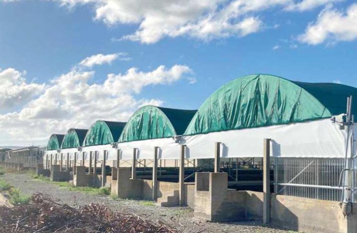 Le vasche dell’azienda Ittica Golfo di Follonica che verranno demolite