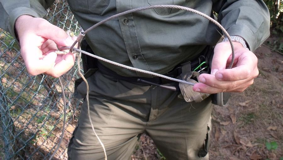 Cappio d’acciaio per gli animali: allarme bracconieri a Cognento