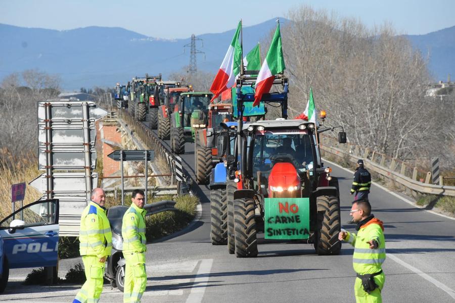 
	I trattori lungo l'Aurelia (foto Agenzia Bf)

