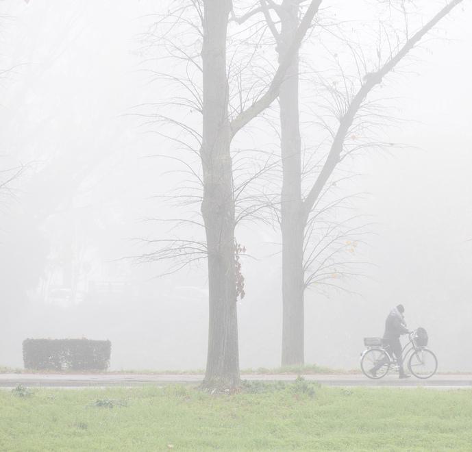 Ferrara, foschia e una strana “pioggia”