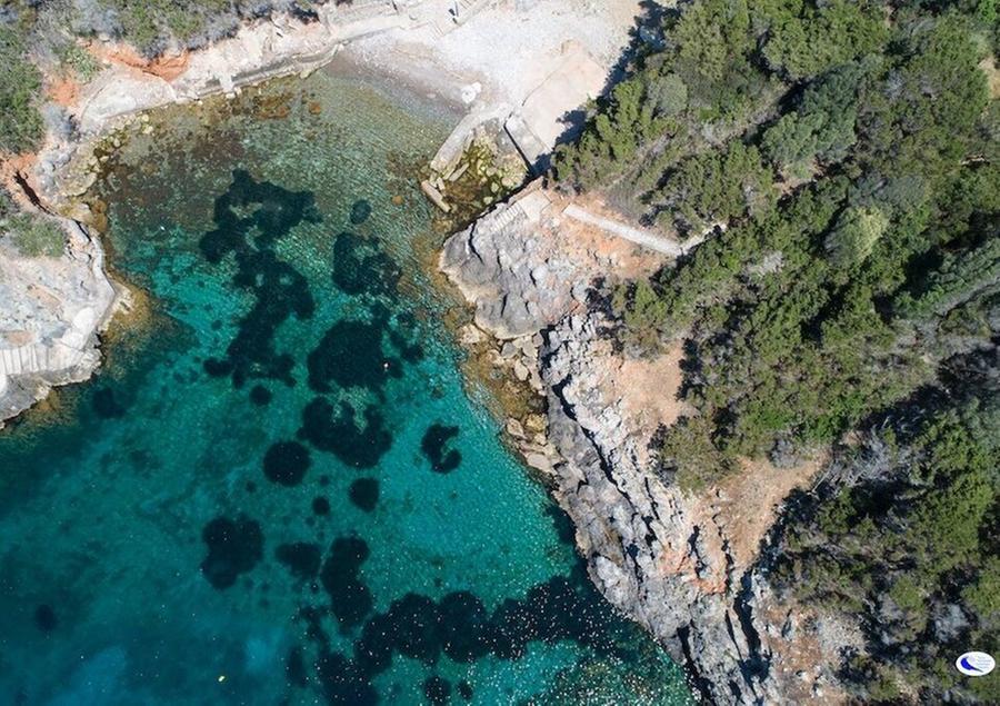 
	L&rsquo;isola di Giannutri (foto Roberto Ridi per il Pnat, Parco nazionale Arcipelago Toscano)

