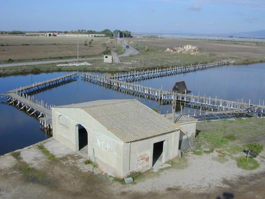 
	Una vecchia immagine della&nbsp;peschiera di Pontis

