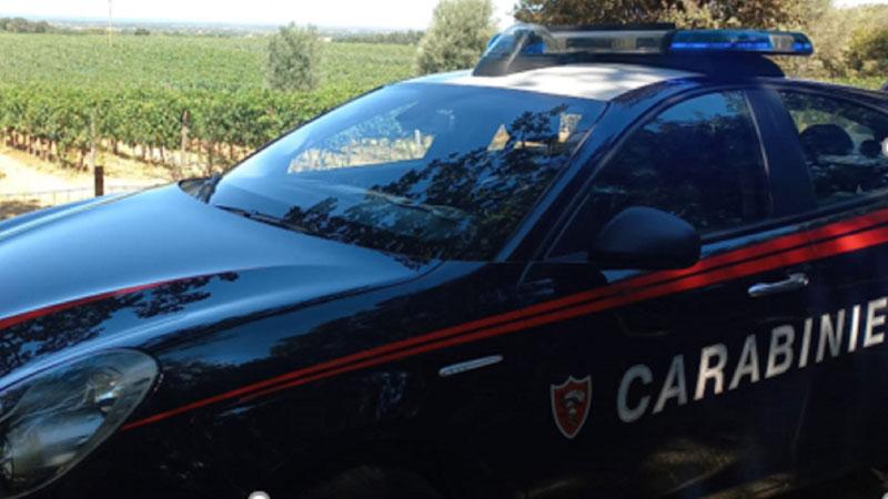 Una pattuglia dei carabinieri davanti ai vigneti (foto d’archivio)