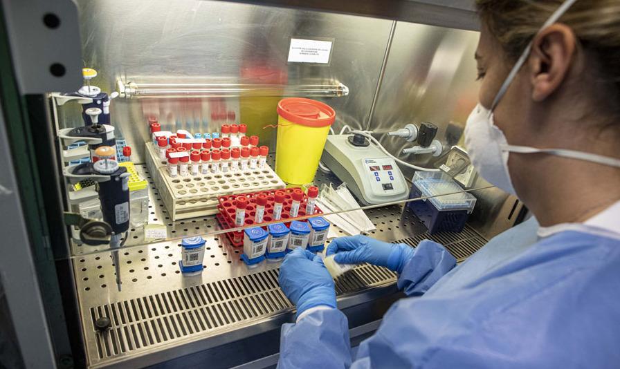 I contagi risalirebbero al periodo delle festività natalizie, sono emersi a partire dalla metà del mese, l’ultimo è stato accertato ieri (foto d’archivio)