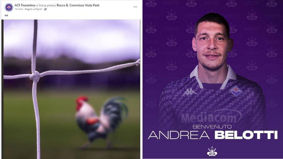
	A sinistra il post dela Fiorentina, a destra Andrea Belotti

