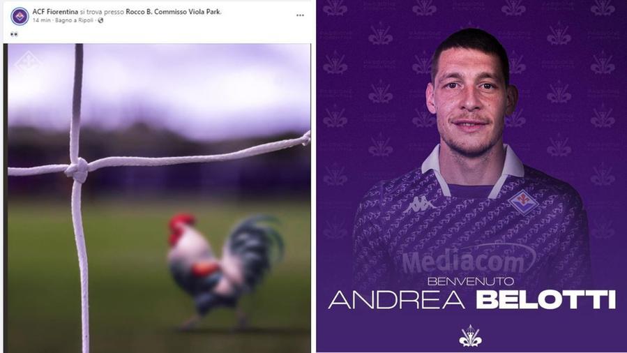 A sinistra il post dela Fiorentina, a destra Andrea Belotti
