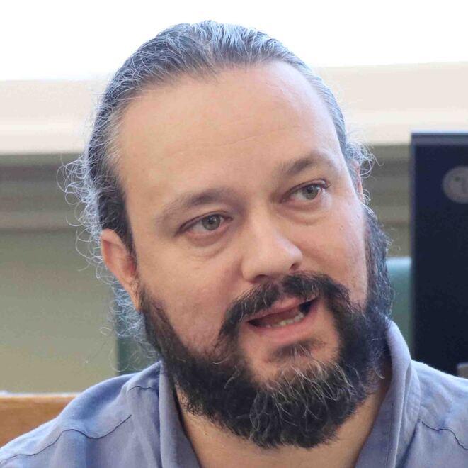 Ferrara, scontro tra Fabbri e Fusari sugli alberi di viale Volano