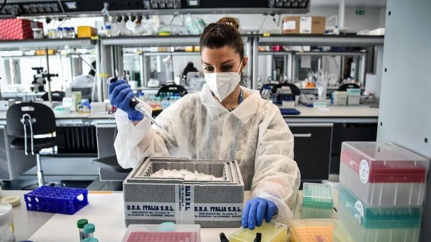 Analisi di laboratorio dopo l’insorgenza dei primi casi (archivio)
