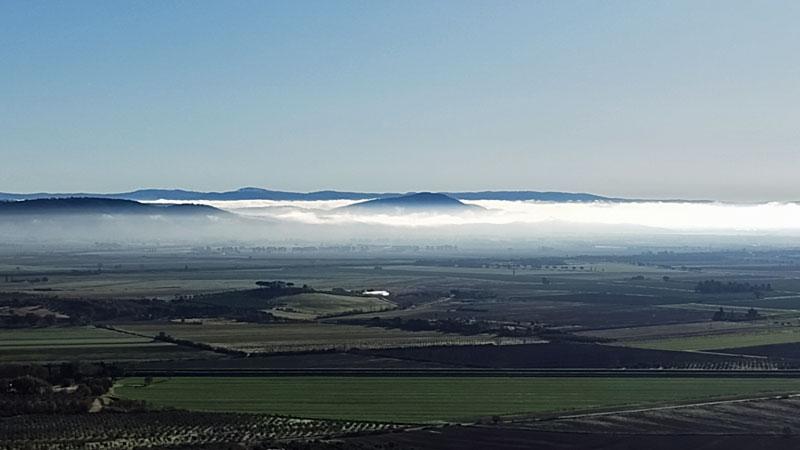 Inverno in Maremma, chi l’ha visto? A gennaio caldo record: i dati che preoccupano