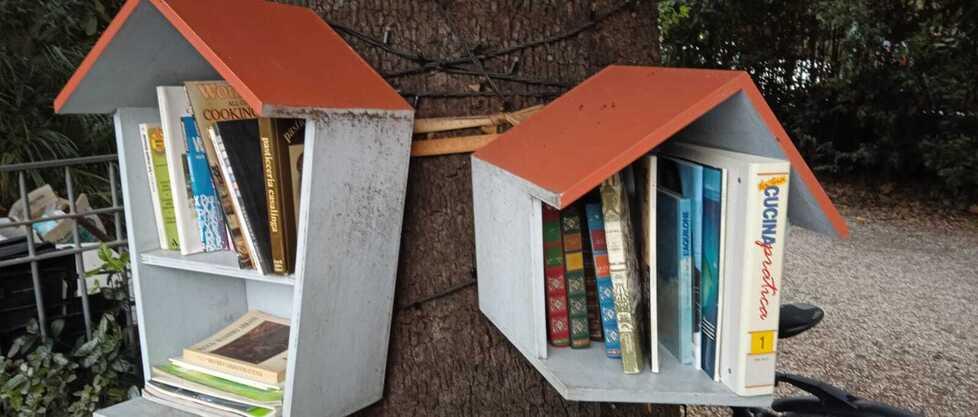 Libri domestici, guai a buttarli: a Livorno aprirà un centro di raccolta<br>
