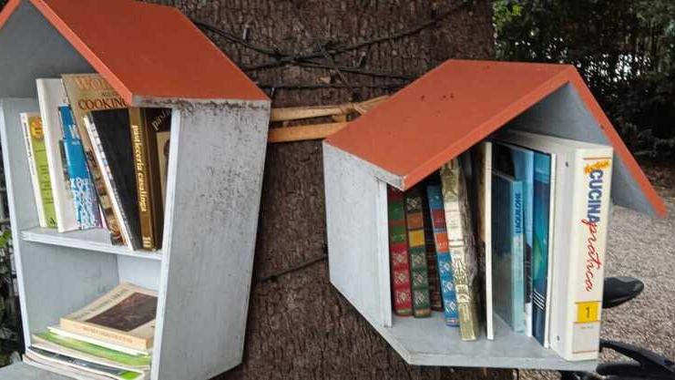 Libri domestici, guai a buttarli: a Livorno aprirà un centro di raccolta<br>