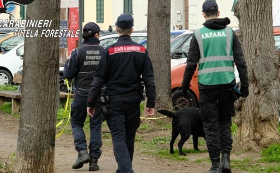 Bocconi avvelenati in giro per Livorno, interviene la Forestale