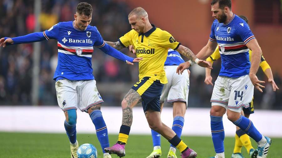 Che rimonta, il Modena e Palumbo riprendono la Sampdoria