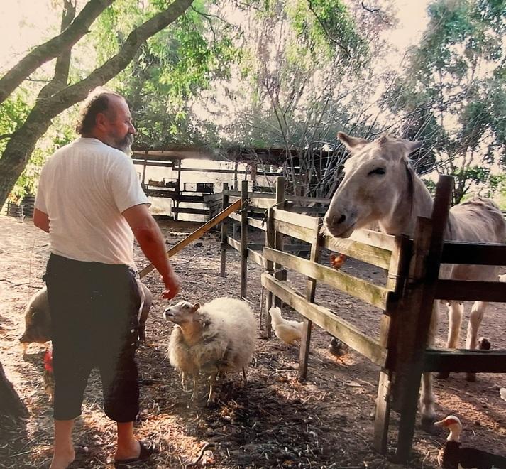 Viconovo, le volpi si mangiano tutti i polli. Fattoria didattica rischia lo stop