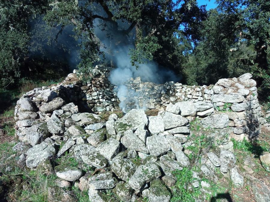 Noddule, tra rovi ed erbacce spunta il “pinnettu” dell’Ottocento