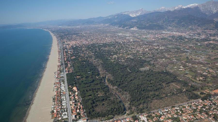 Dillo al direttore: sogno una piccola New York della costa toscana