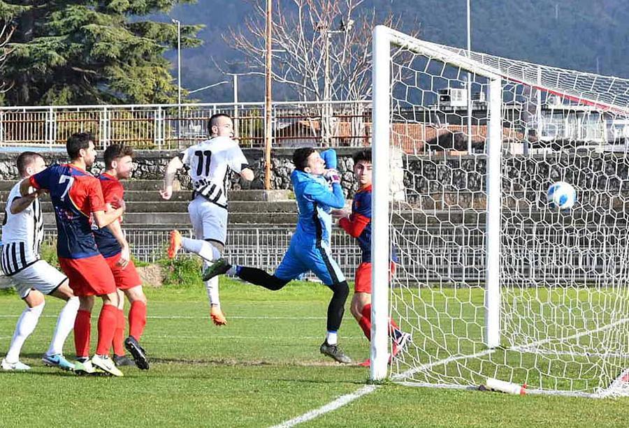 
	La rete del vantaggio di Zavatto

