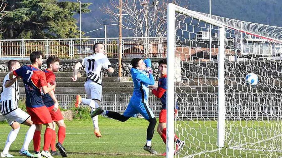 La rete del vantaggio di Zavatto