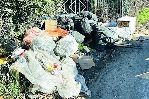 Livorno, spunta un cumulo di rifiuti in via delle Sorgenti<br>
