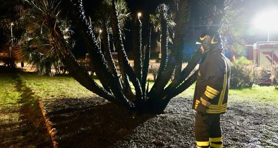 
	I vigili del fuoco intervenuti per spegnere l'incendio (foto di Franco Silvi)


