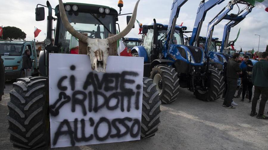 La protesta dei trattori a Grosseto (foto Bieffe)
