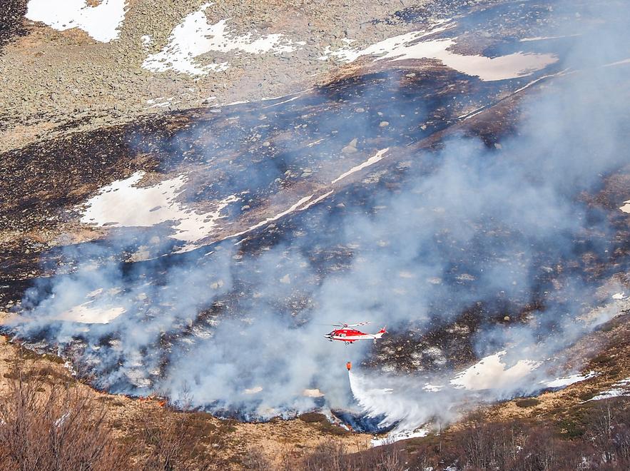 Rogo sul Cusna, il sindaco Sassi: «Va riaperto il presidio dei forestali a Villa Minozzo»