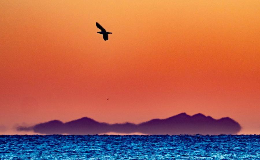 A Livorno ecco Capraia da Antignano: il tramonto di Paolo Belloni