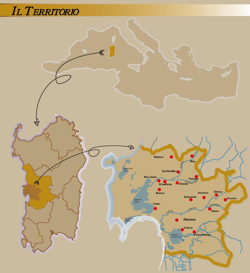 
	Il territorio della Vernaccia di Oristano

