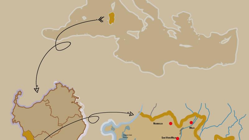 Il territorio della Vernaccia di Oristano