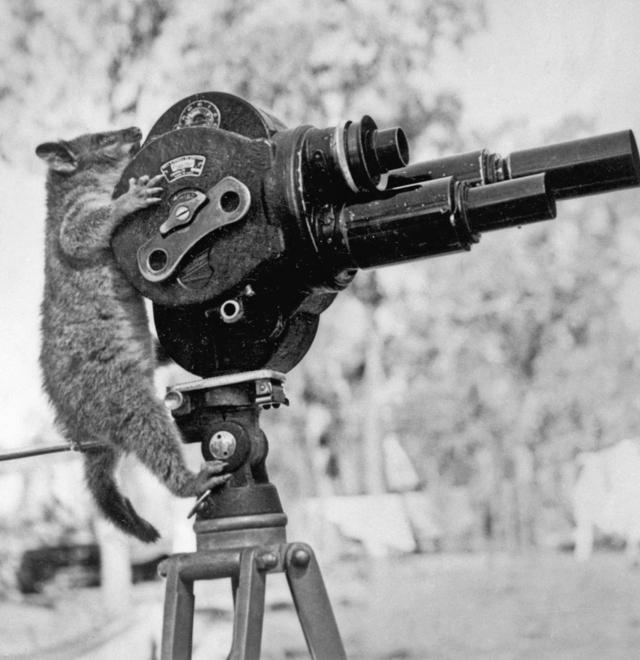 
	Lo scatto di Marta Bogdanska

