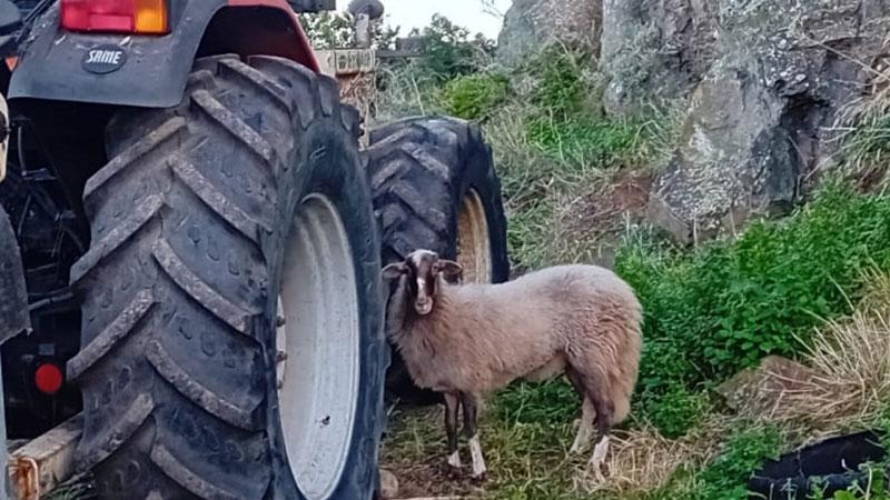 Marina fotografata accanto a uno dei mezzi meccanici al lavoro sulla strada