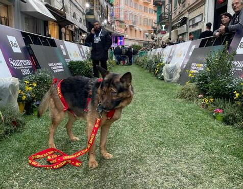 Marley al festival di Sanremo