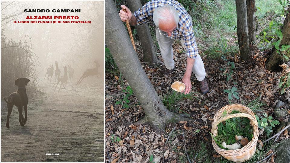 Quando andar  per  funghi aiuta l’anima 