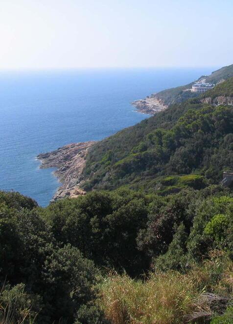 Livorno e l’arenaria di Calafuria: incontro con gli esperti ed escursione