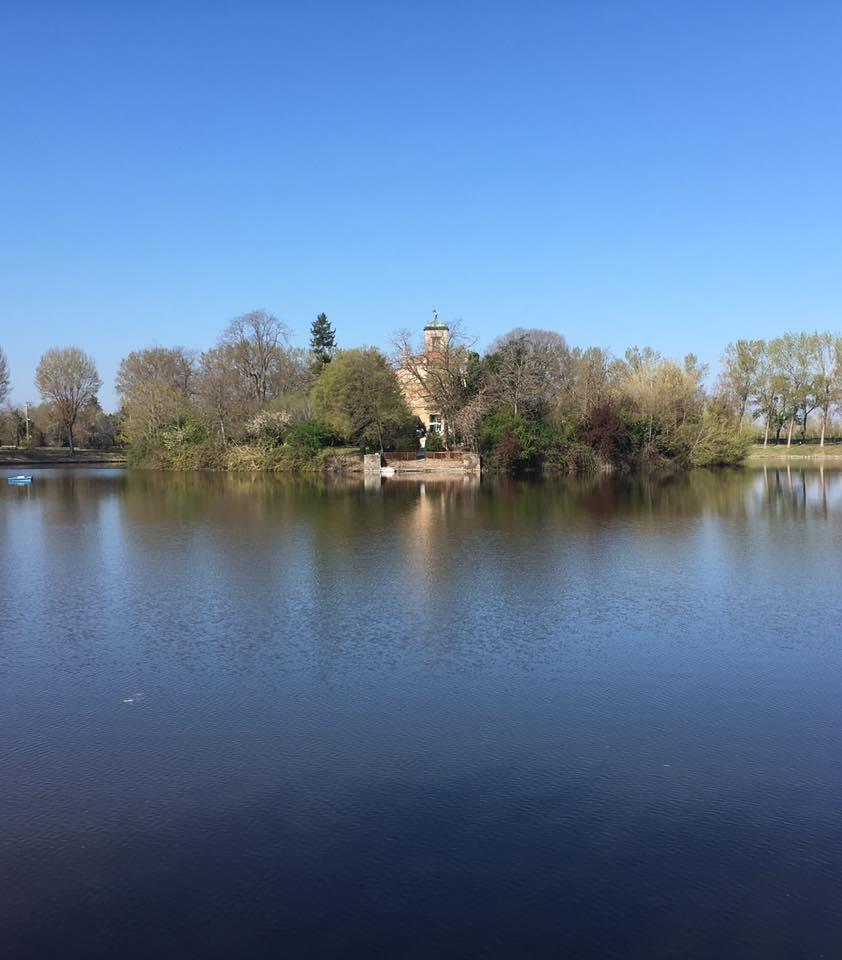 «L’emiro vuol comprare Villa d’Este» ma è una maxi truffa con scambio di lingotti