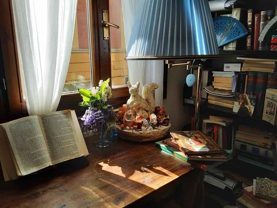 Modena, “La favola di via Orfeo”: la sfida di Rebecca archeologa di se stessa