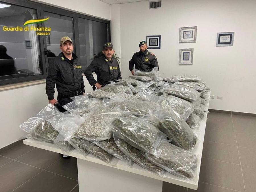 Olbia, corriere della droga arrestato al porto: nascondeva nel camion 70 chili di marijuana