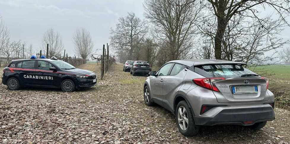 Portano tre auto ibride nel vigneto e poi le saccheggiano delle costose batterie