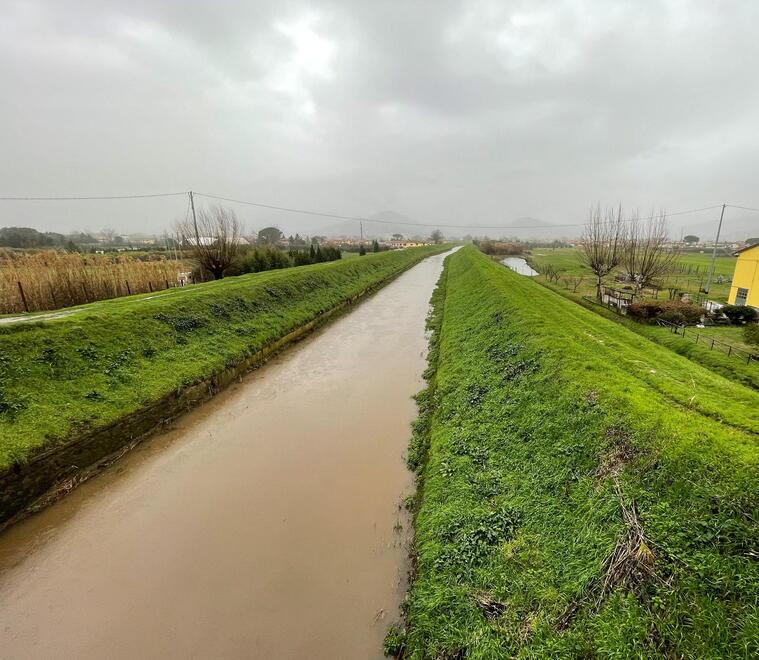 L’argine del Nievole usato come discarica (foto Nucci/Innocenti)