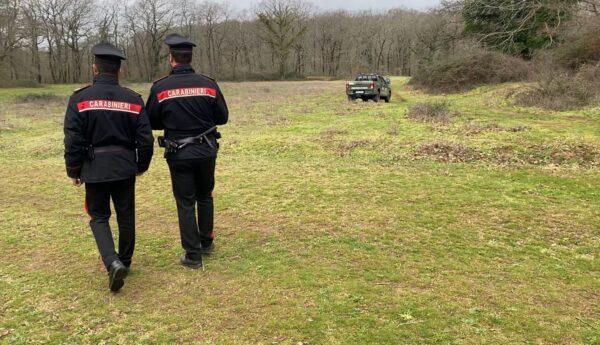 Muore sbranato da tre rottweiler mentre fa jogging nel bosco: chi è la vittima – Video