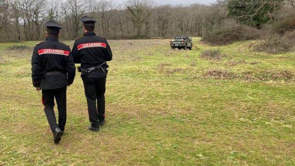Muore sbranato da tre rottweiler mentre fa jogging nel bosco: chi è la vittima – Video