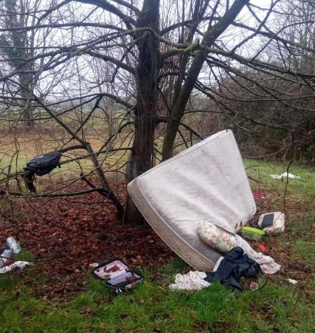 Il bosco urbano Berlinguer ora è un campeggio abusivo