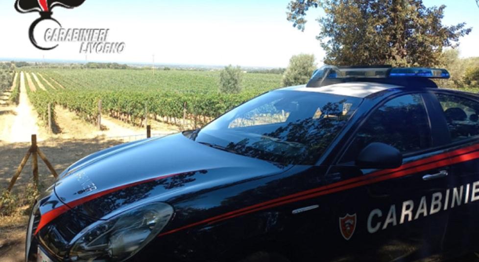 Una pattuglia dei carabinieri fuori da un vigneto, durante le indagini per la cosiddetta "estorsione del Sassicaia"
