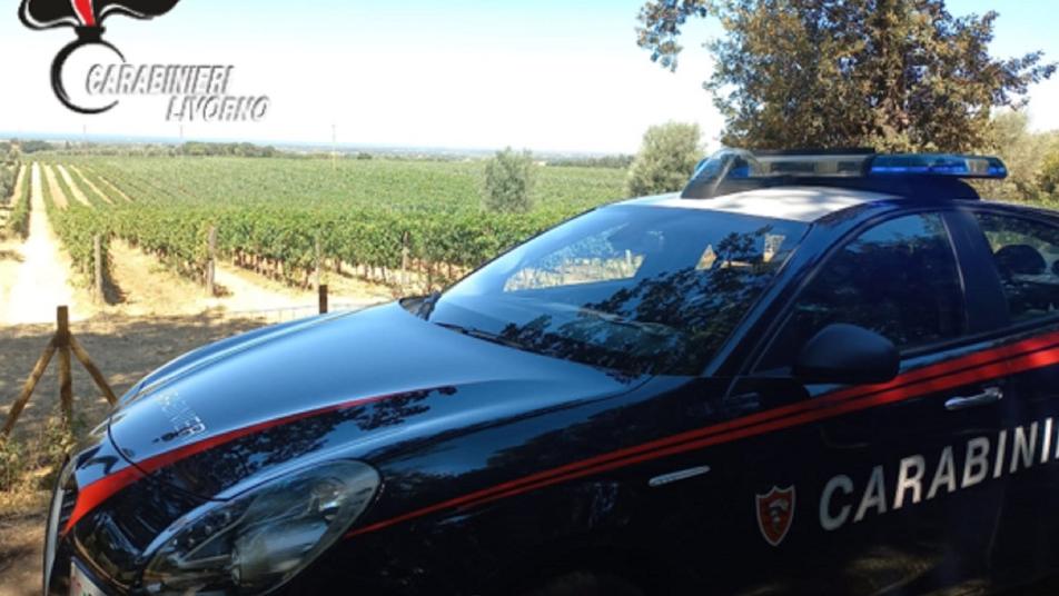 Una pattuglia dei carabinieri fuori da un vigneto, durante le indagini per la cosiddetta "estorsione del Sassicaia"