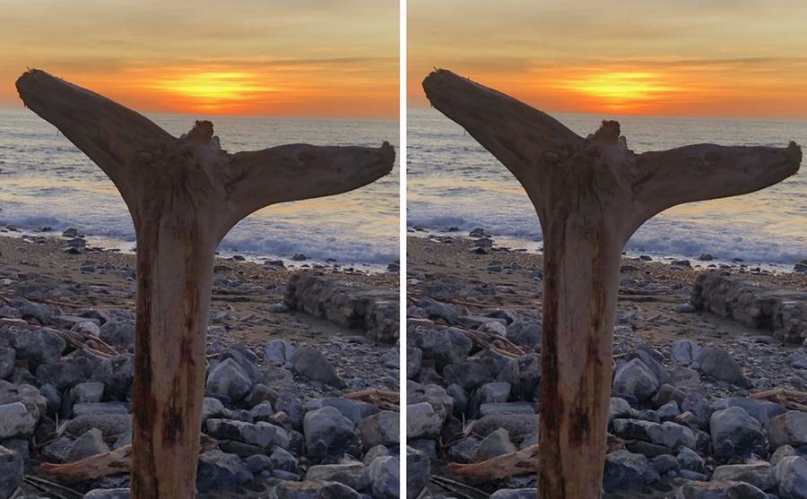 Livorno e la balena insabbiata di Antonio Contini: buon mercoledì