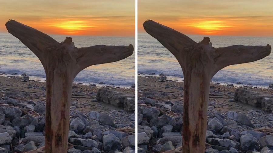 Livorno e la balena insabbiata di Antonio Contini: buon mercoledì